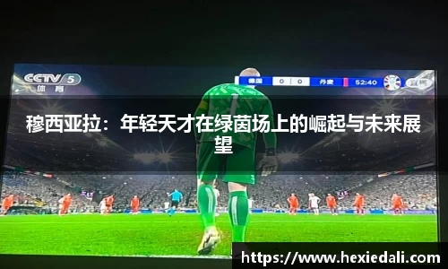  威廉希尔官方app下载